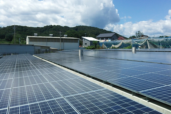 宝永エコナ　安中太陽光発電所